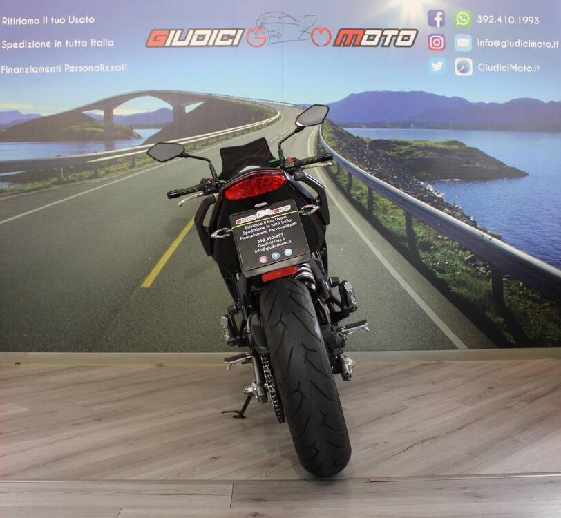 Kawasaki ER-6N (2009 - 11) (4)