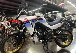 Honda Transalp XL750 (2023 - 24) usata