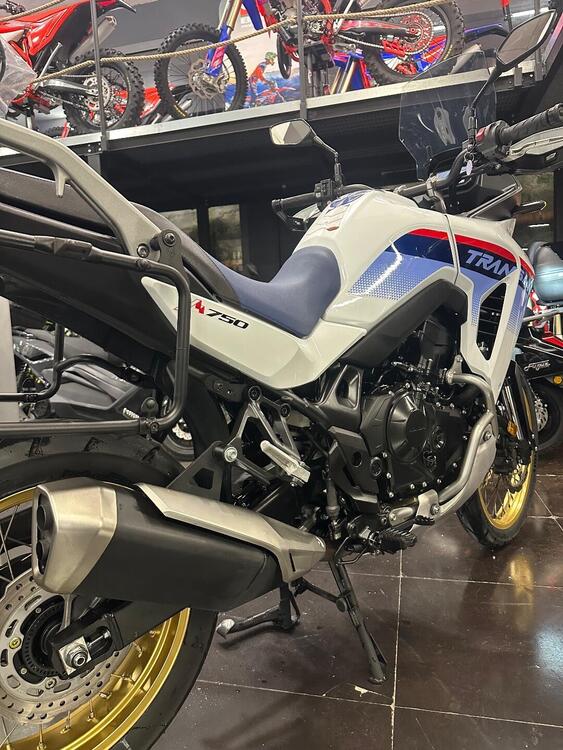 Honda Transalp XL750 (2023 - 24) (4)