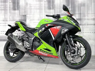 Kawasaki Ninja 300 ABS (2012 - 16) usata
