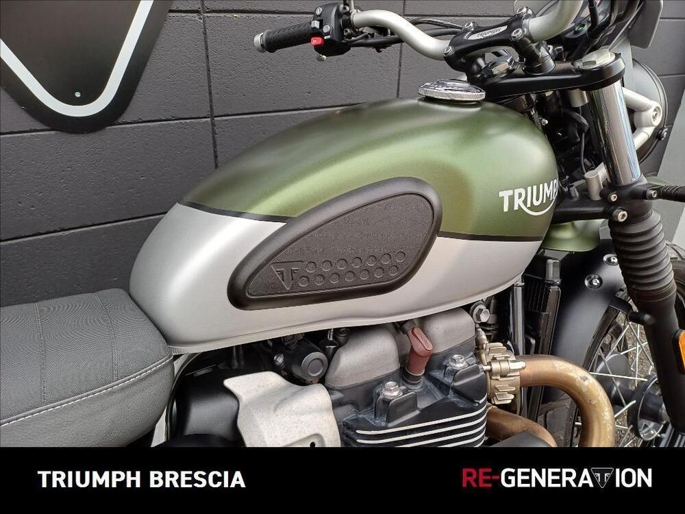 Triumph Street Scrambler 900 (2019 - 20) (5)