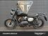 Triumph Scrambler 900 (2023 - 25) (8)