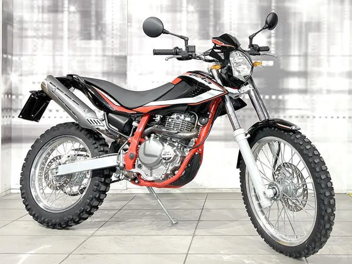 Betamotor Alp 4.0 (2018 - 20)