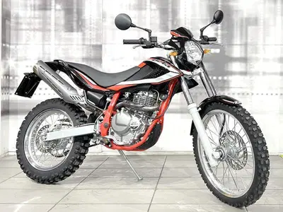 Betamotor Alp 4.0 (2018 - 20) usata
