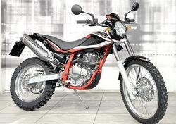 Betamotor Alp 4.0 (2018 - 20) usata