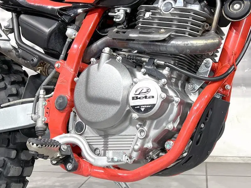 Betamotor Alp 4.0 (2018 - 20) (3)