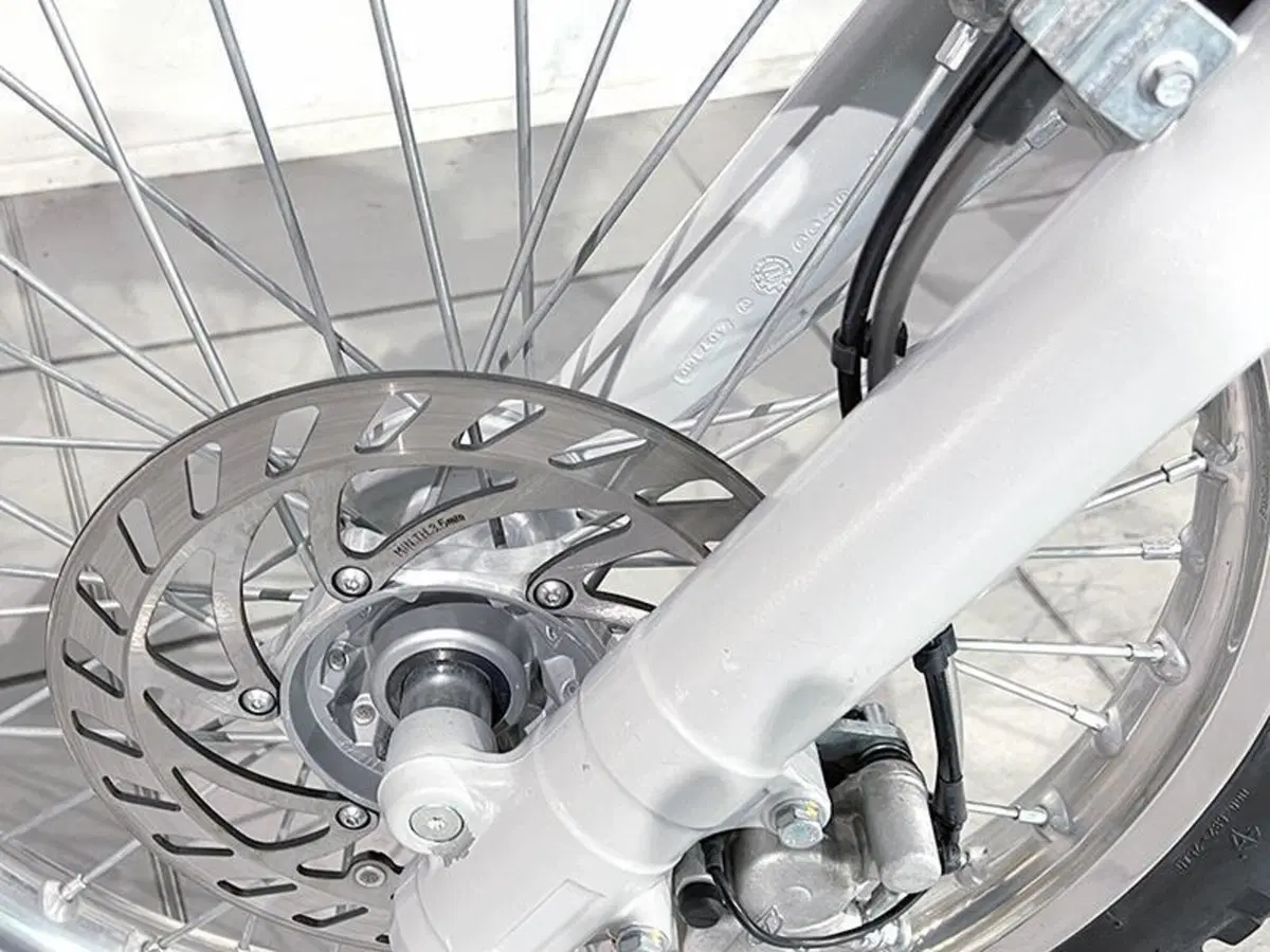Betamotor Alp 4.0 (2018 - 20) (5)