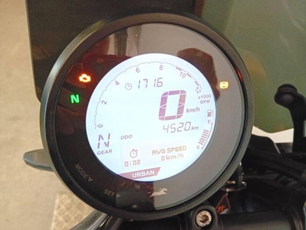 TVS Motor Ronin 250 (2024 - 25) (3)