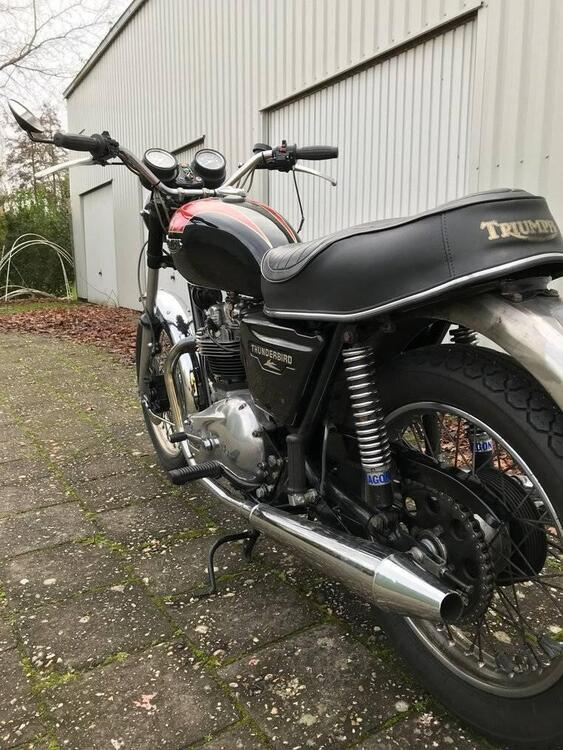 Triumph Thunderbird TR 65 (3)