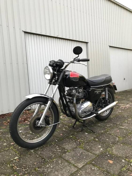 Triumph Thunderbird TR 65