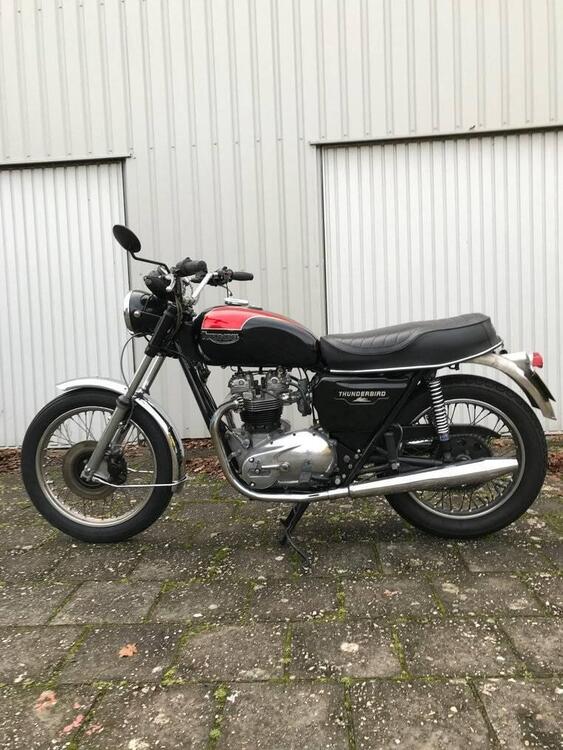 Triumph Thunderbird TR 65 (4)