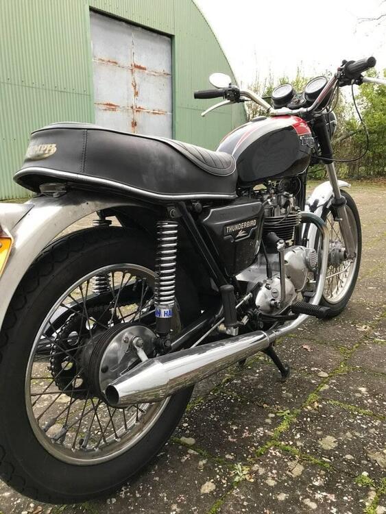 Triumph Thunderbird TR 65 (5)