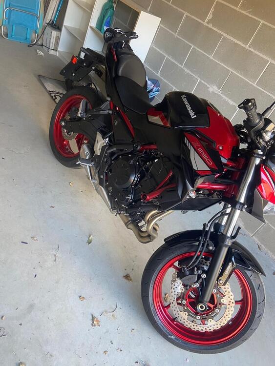 Kawasaki Z 650 (2021 - 24)