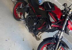 Kawasaki Z 650 (2021 - 24) usata