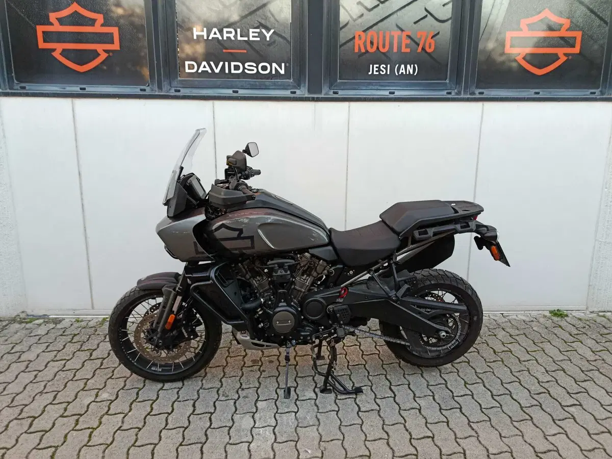 Harley-Davidson Pan America 1250 Special (2020 - 25) (6)