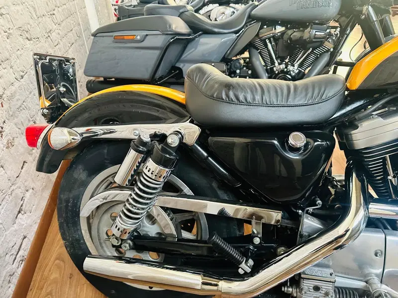 Harley-Davidson 1200 Custom (2001 - 03) - XL 1200C (10)