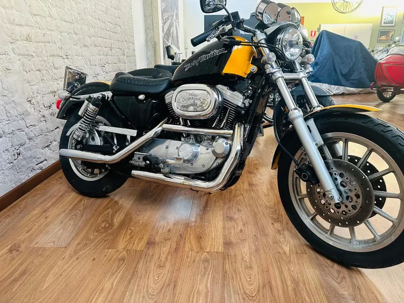 Harley-Davidson 1200 Custom (2001 - 03) - XL 1200C (13)
