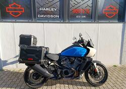 Harley-Davidson Pan America 1250 Special (2020 - 25) usata