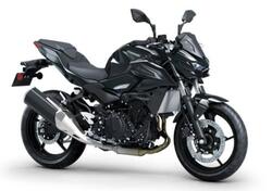 Kawasaki Z 500 (2024 - 26) usata