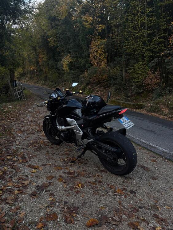 Kawasaki Z 750 (2007 - 14) (2)