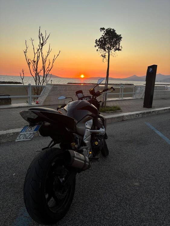 Kawasaki Z 750 (2007 - 14) (3)