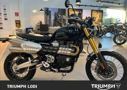Triumph Scrambler 1200 XE (2024 - 25) nuova