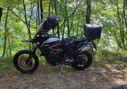 Swm Superdual 600 T (2018 - 20) usata