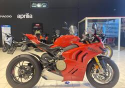 Ducati Panigale V4 S (2022 - 24) usata