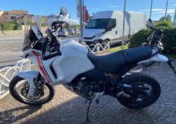Ducati DesertX (2022 - 25) usata