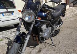 Kawasaki ER-5 500 (2001 - 06) usata
