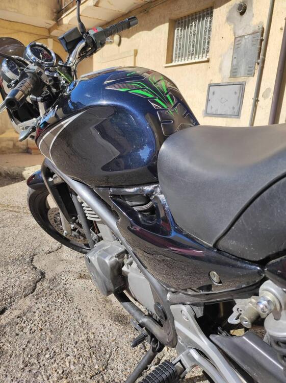 Kawasaki ER-5 500 (2001 - 06) (3)