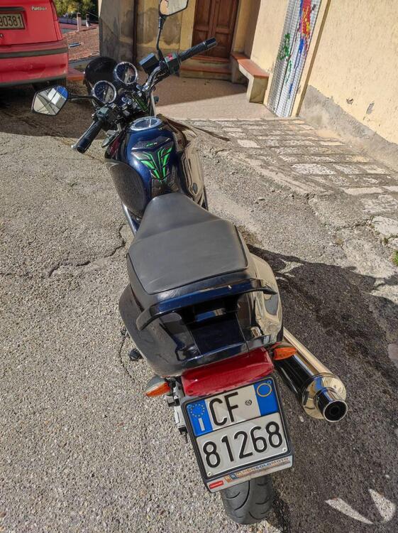 Kawasaki ER-5 500 (2001 - 06) (4)