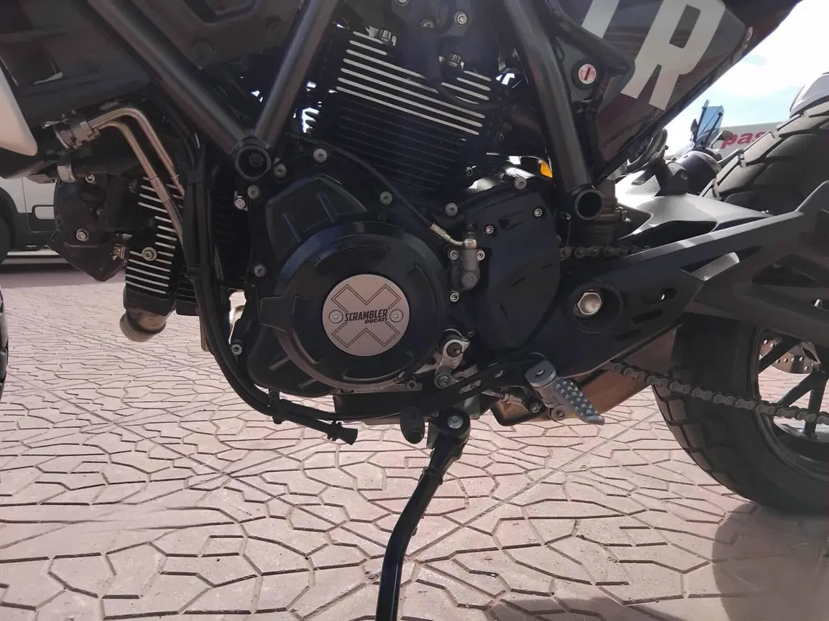 Ducati Scrambler 800 Icon (2023 - 24) (7)