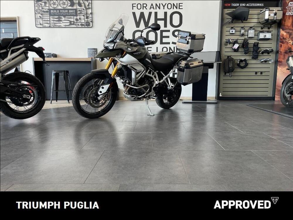 Triumph Tiger 900 Rally Pro (2020 - 23) (2)