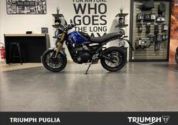 Triumph Speed 400 (2024 - 25) usata