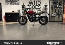 Triumph Scrambler 400 X (2024 - 25) usata