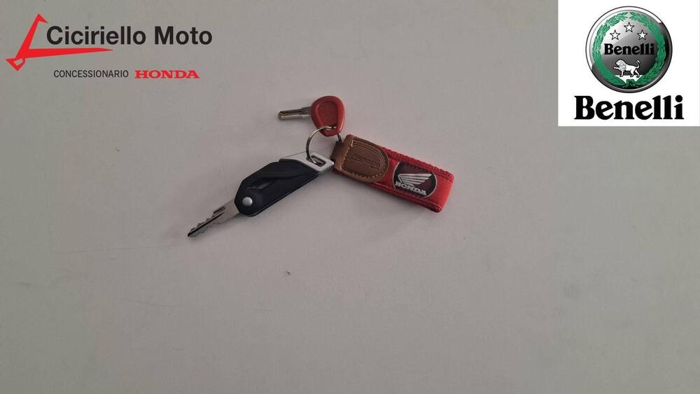 Benelli TRK 502 (2021 - 25) (5)