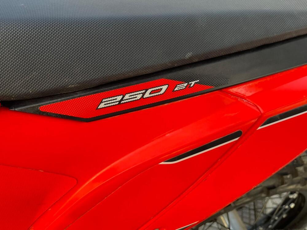 Betamotor RR 250 2T Enduro (2023) (3)