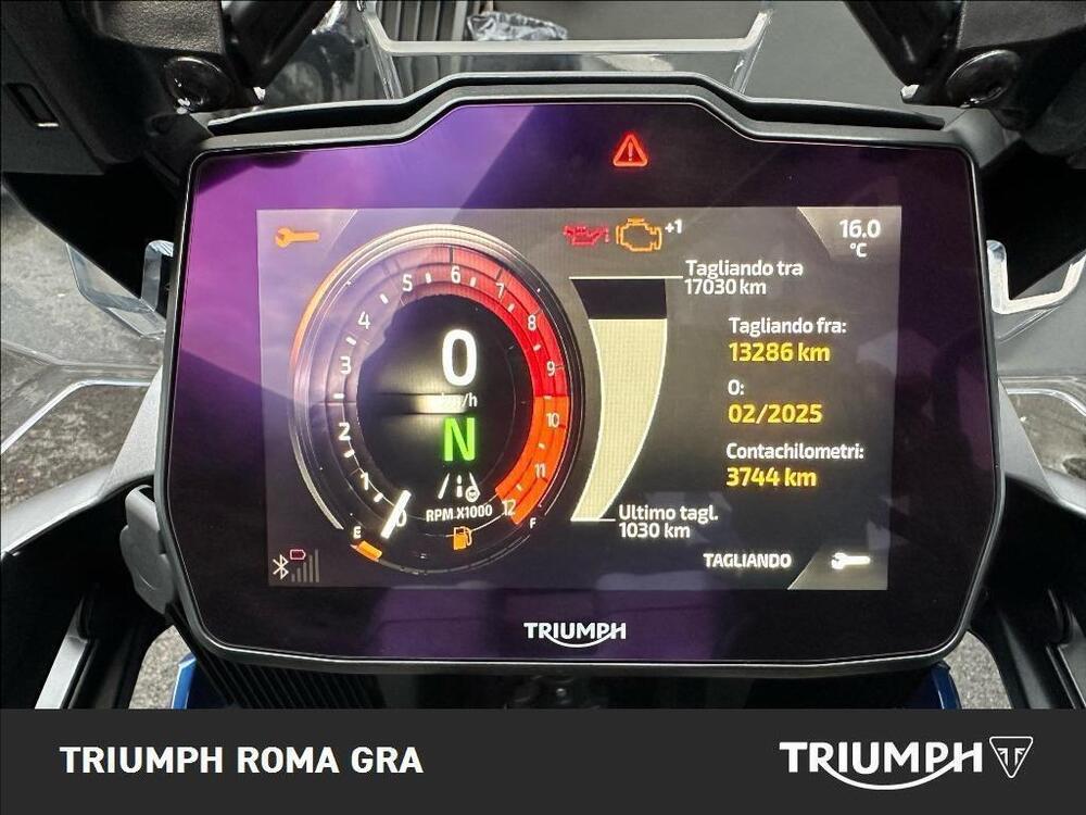 Triumph Tiger 1200 GT Pro (2024 - 25) (4)