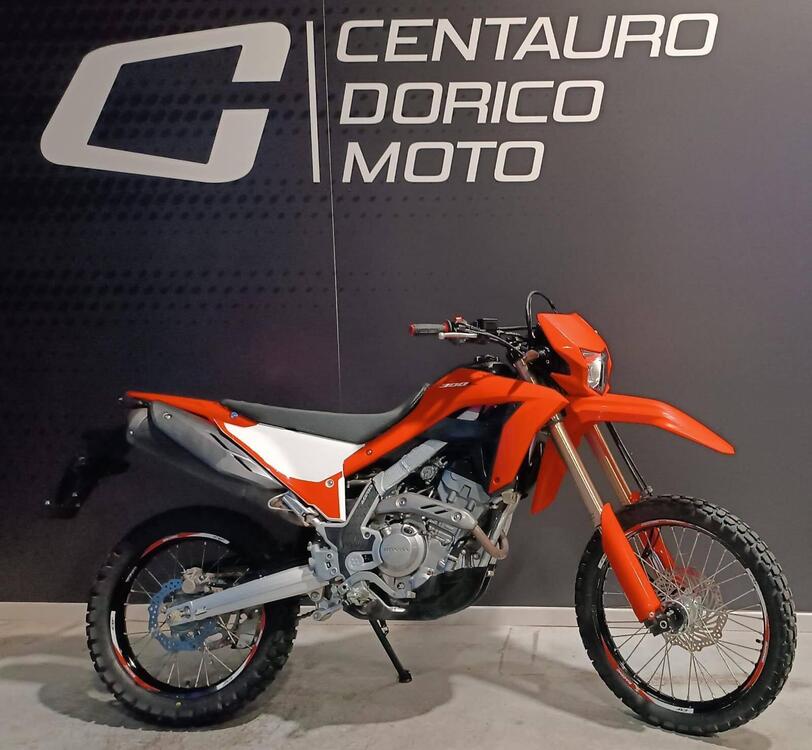 Honda CRF 300 L (2021 - 24)