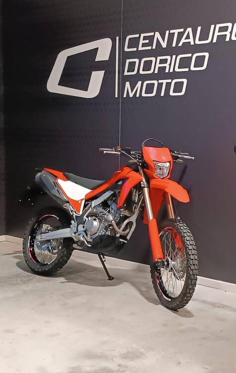 Honda CRF 300 L (2021 - 24) (3)