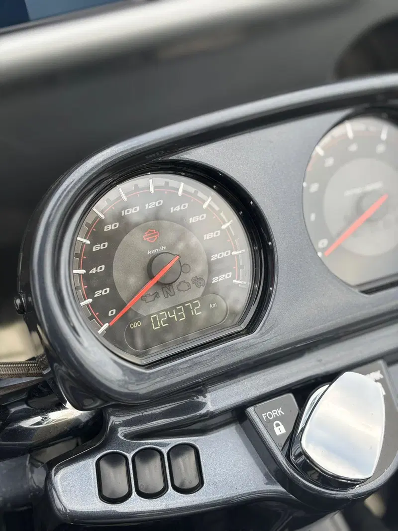 Harley-Davidson 117 Road Glide (2018 - 19) - FLTRXSE (15)
