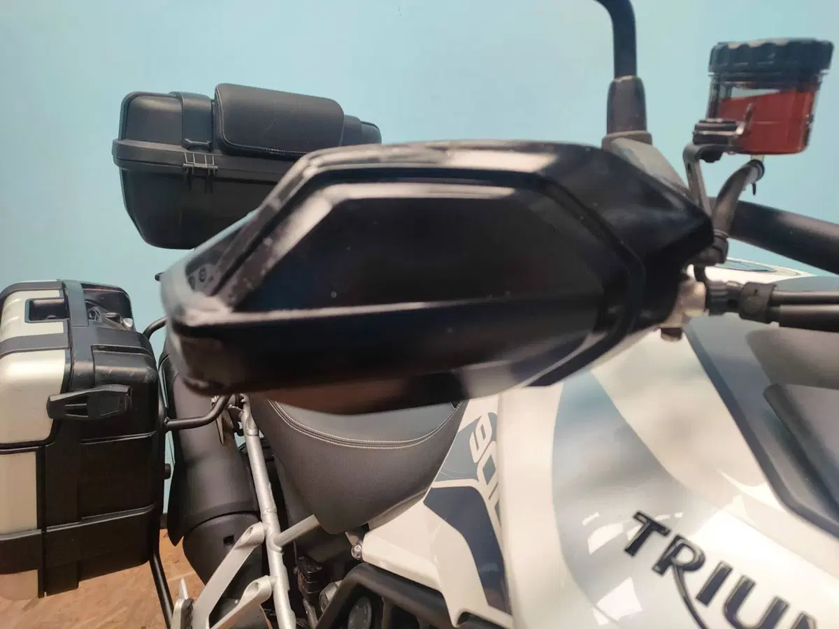 Triumph Tiger 900 GT Pro (2020 - 23) (16)