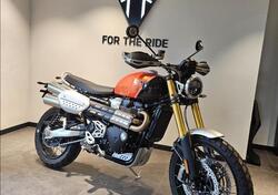 Triumph Scrambler 1200 XE (2024 - 25) usata