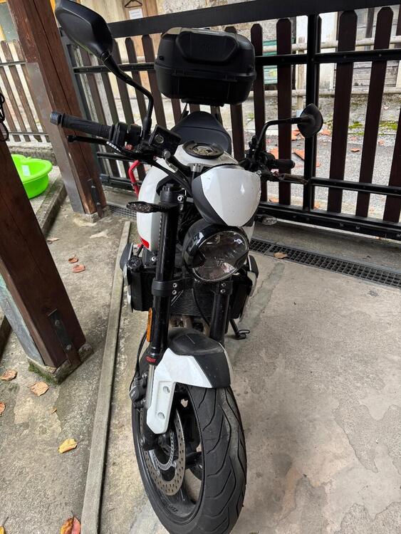 Triumph Trident 660 (2021 - 24)