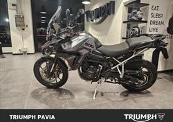 Triumph Tiger 900 GT Pro (2024 - 25) usata