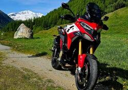 Ducati Multistrada V4 Pikes Peak (2021 - 24) usata