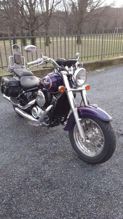 Kawasaki VN 800 Classic (2001 - 06) (3)