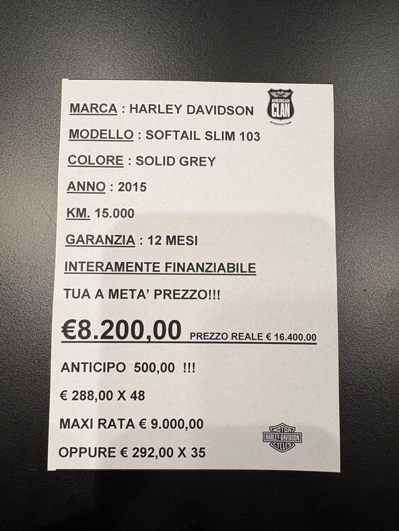 Harley-Davidson 1690 Slim (2011 - 16) - FLS (3)