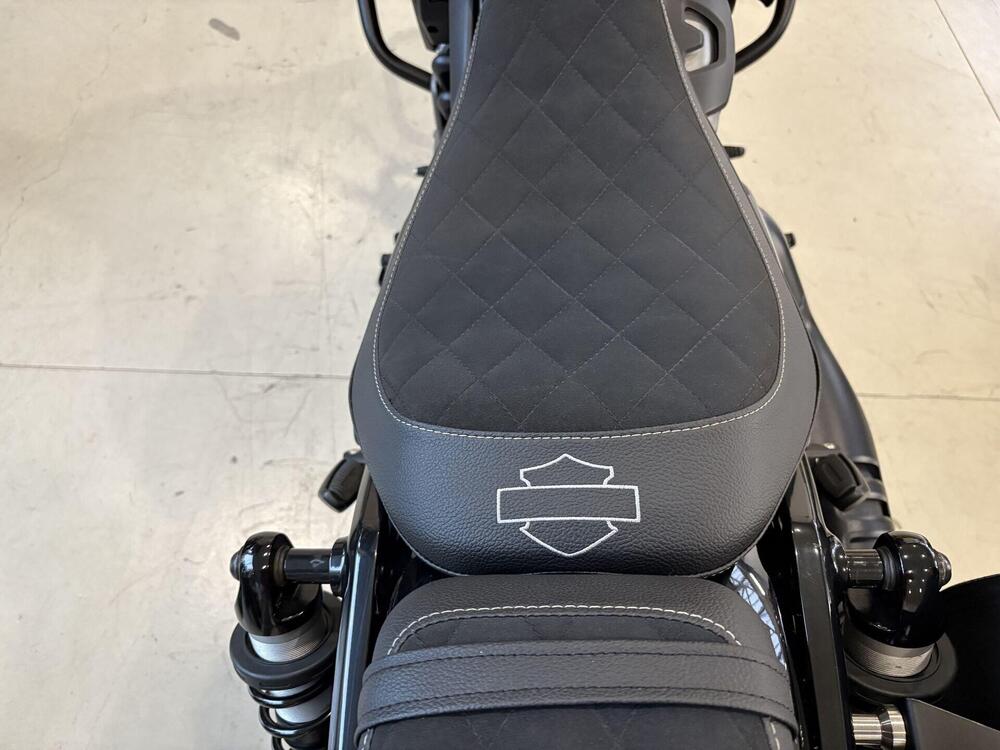 Harley-Davidson Nightster Special (2023 - 25) (4)